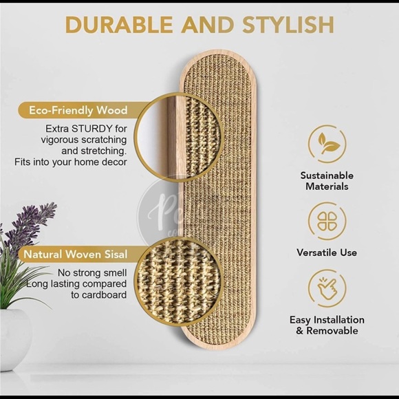 Scratchpad for Cats, kittens - Picture 3 of 5